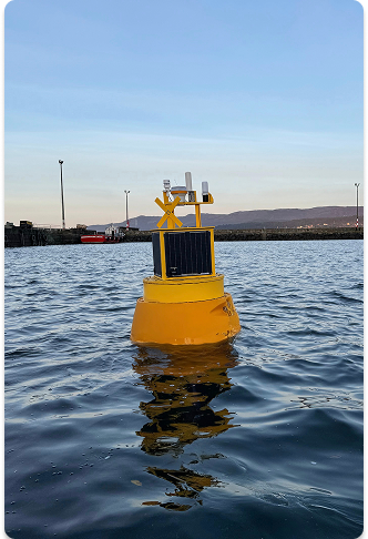 EMS Mini Buoy